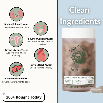 Ancestral Hormone Support – Primal Organ Blend